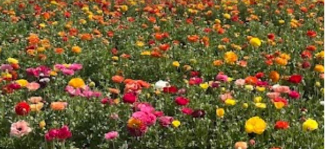 Din orice criză nu ieșim singuri